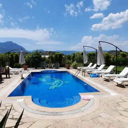 Outstanding House With Orchard And Private Pool In Ortaca, Mugla * Muğla